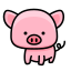 pig icon